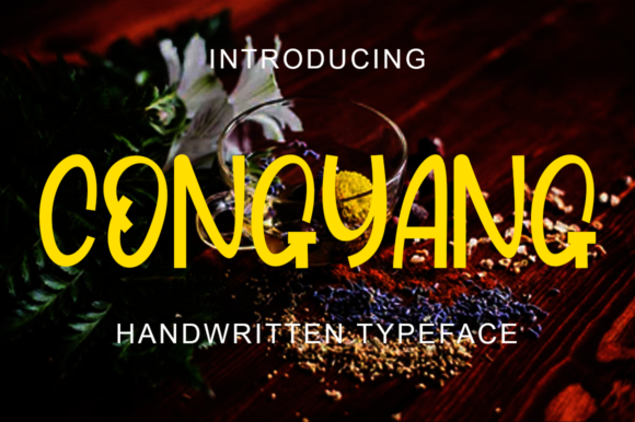 Congyang Display Font Review for Creative Makers and Designers