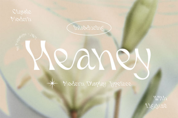 Heaney Font for Makers: Whimsical Typography in Every Creation
